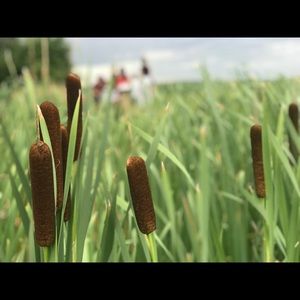 Meet your Posher, Jill